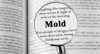 Learn About Mold Icon